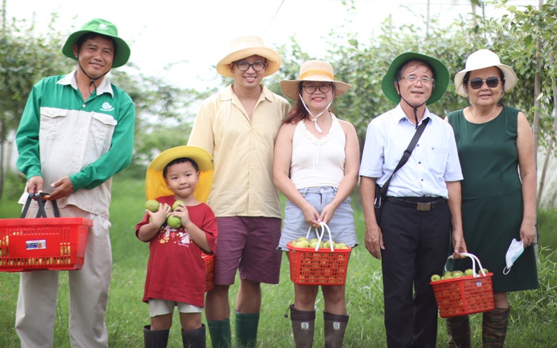 khách tham quan hái táo tại vườn cùng nông dân ngon farm tuy phong